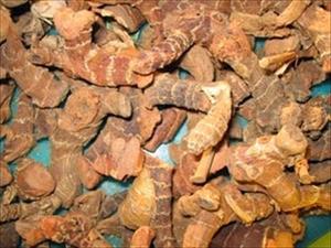 خولنجان خولنجان