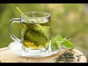دمنوش گزنه دمنوش گزنه