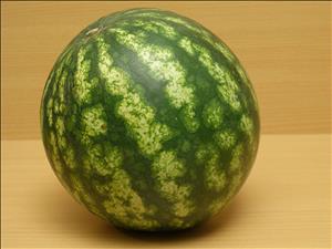 هندوانه هندوانه