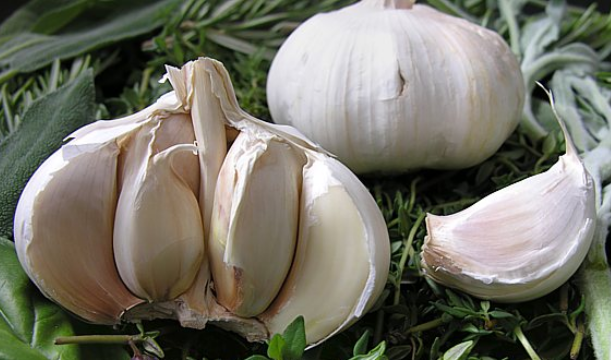 سیر سیر