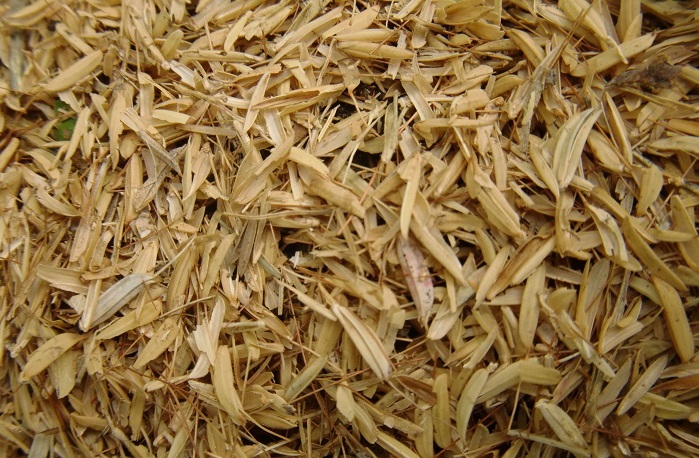 سبوس سبوس