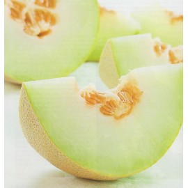 خربزه خربزه