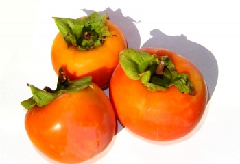 خرمالو خرمالو