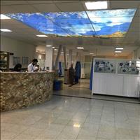 بیمارستان قلب و عروق امام علی (ع) کرمانشاه بیمارستان قلب و عروق امام علی (ع) کرمانشاه