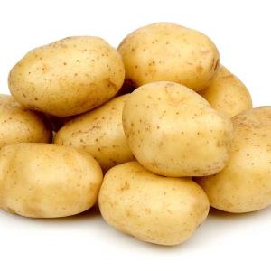سیب زمینی سیب زمینی