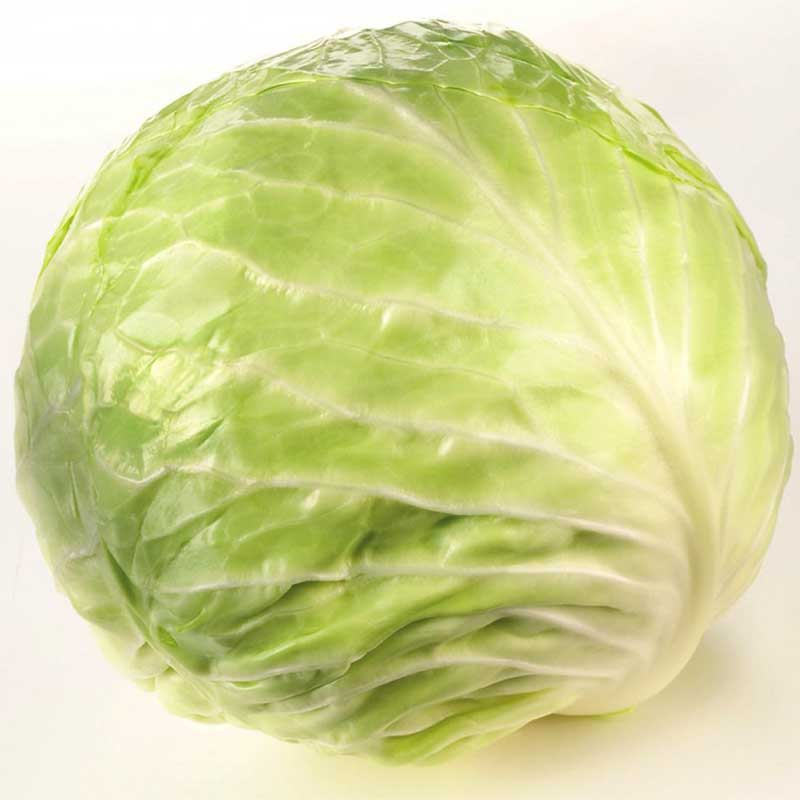 همه چیز درباره کلم