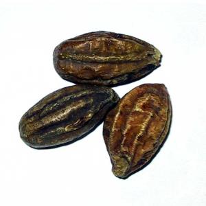 اطریفل صغیر اطریفل صغیر