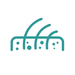 زگیل (وروکا ولگاریس) زگیل (وروکا ولگاریس)