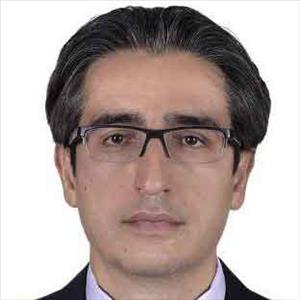 دکتر محمدمهدی حاتمی دکتر محمدمهدی حاتمی