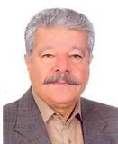 دکتر مهدی شکیباپور دکتر مهدی شکیباپور