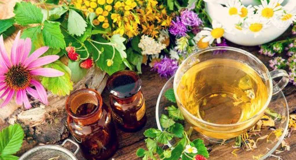 4 درمان گیاهی گرگرفتگی یائسگی + طریقه مصرف 4 درمان گیاهی گرگرفتگی یائسگی + طریقه مصرف