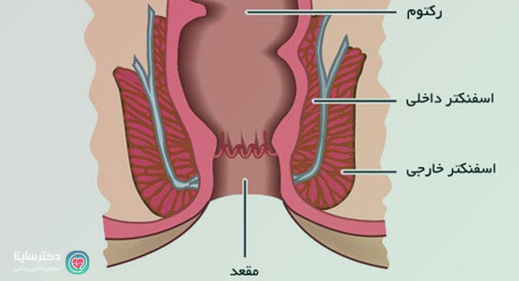 سکس مقعدی آمیزشی مقعدی