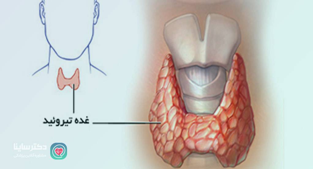 غده تيروئيد