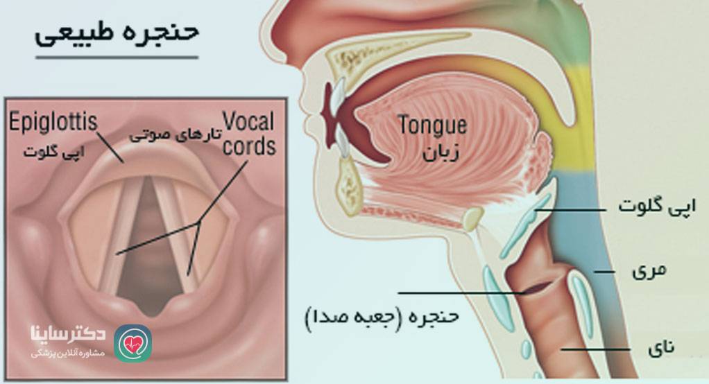 عکس حنجره سرطان 