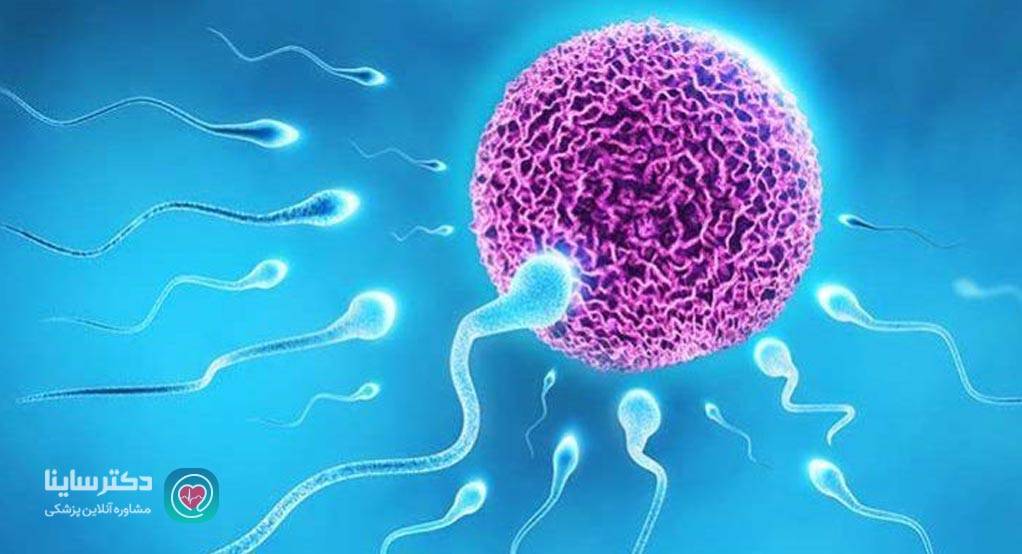 راههای انتقال کلامیدیا