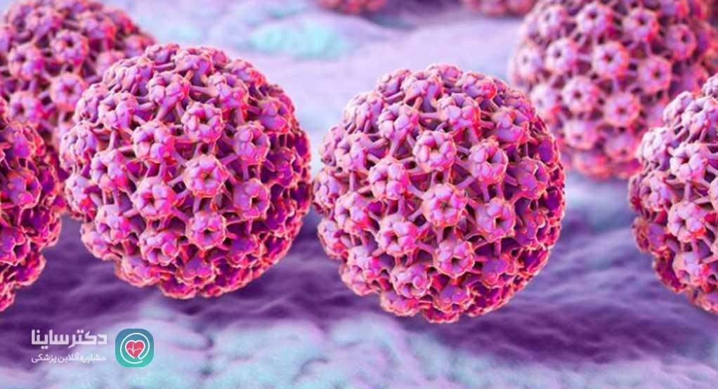 hpv چیست