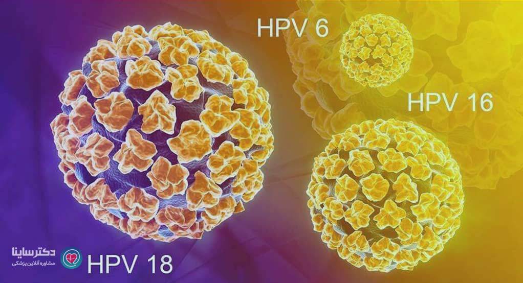 هشدار! هشدار! خانمها HPV را بشناسند هشدار! هشدار! خانمها HPV را بشناسند