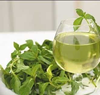 دمنوش نعناع