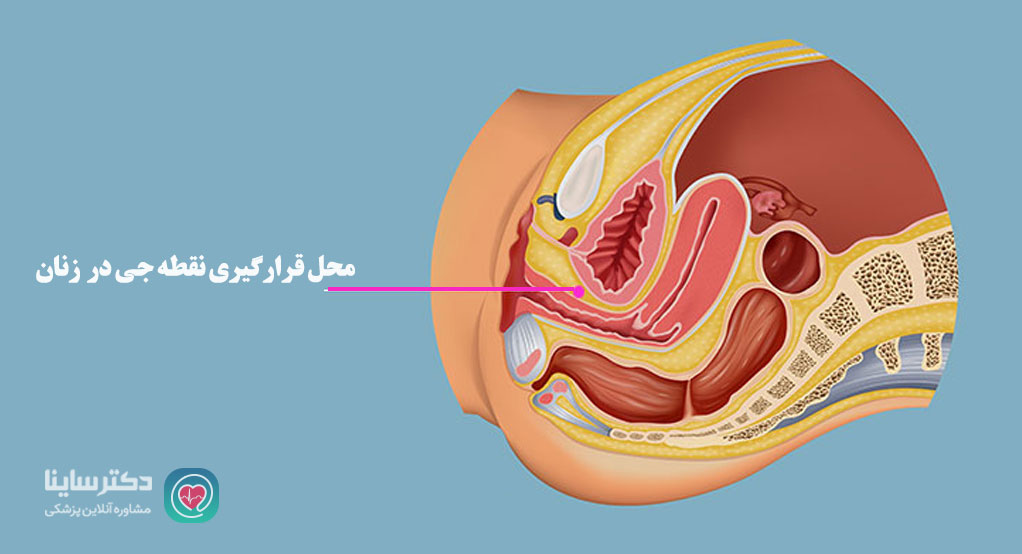 کدام پوزیشن نقطه جی را تحریک میکند