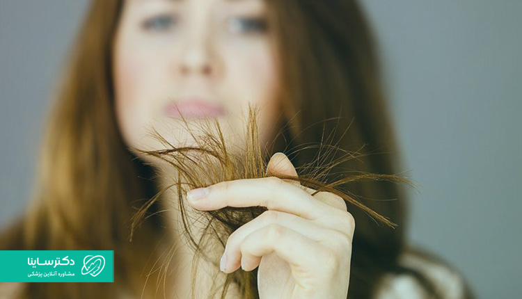 موخوره | علت، روش‌های پیشگیری و درمان موخوره مو