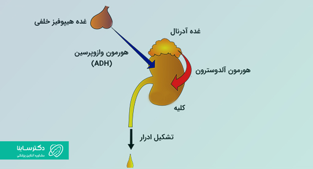 دیابت بی مزه 