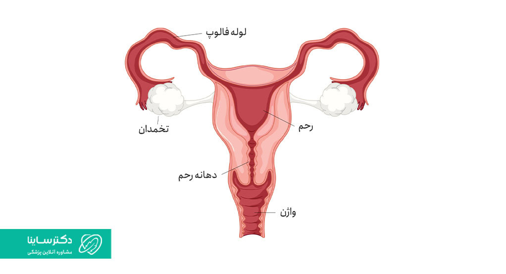 جا ماندن کاندوم در واژن حین رابطه جنسی