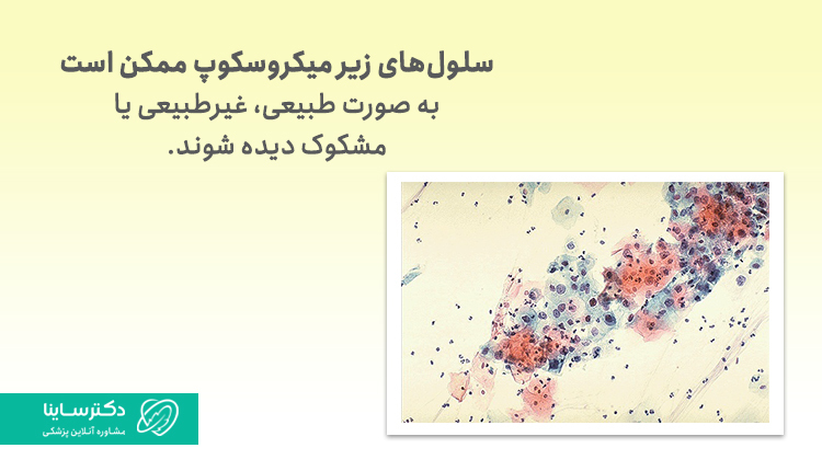 اصطلاحات تست پاپ اسمیر