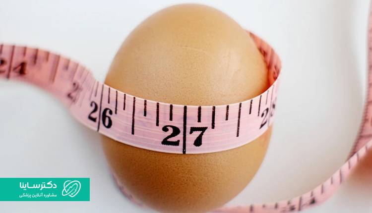 بررسی رژیم تخم مرغ برای لاغری + مزایا و عوارض