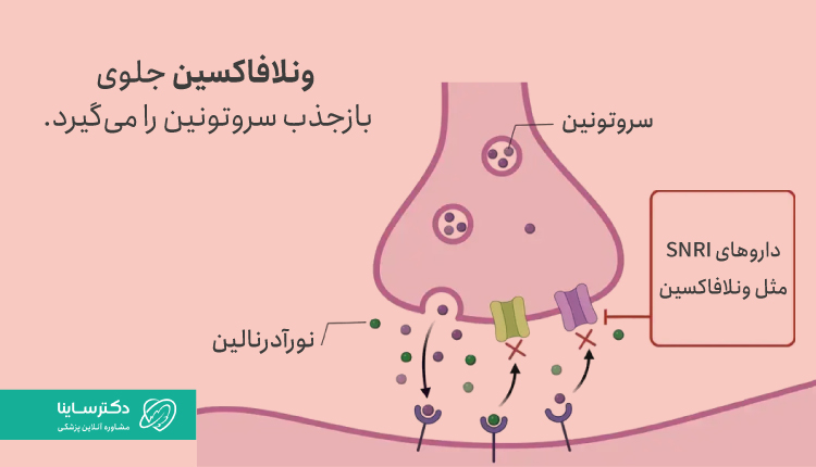 عملکرد ونلافاکسین