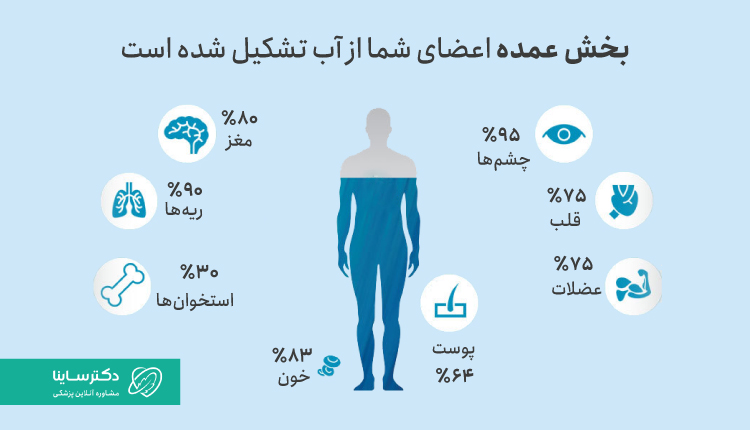 بخش عمده‌ای از اعضای بدن را آب تشکیل داده است.