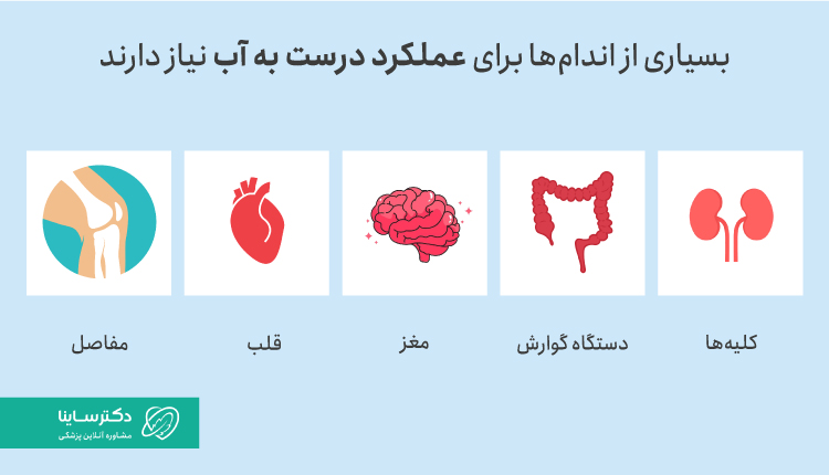 بسیاری از اندام‌ها برای عملکرد درست نیاز به آب دارند